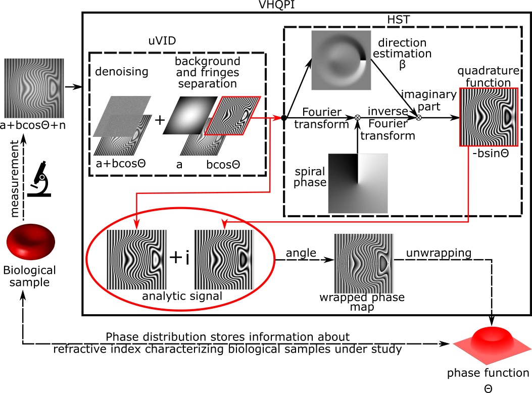 Jednoramkowy algorytm analizy obrazów prążkowych - Varitional Hilbert Quantitative Phase Imaging.