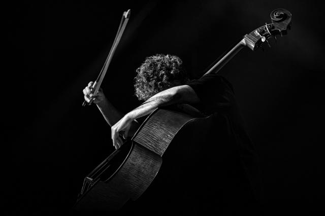 Zdjęcie przestawia człowieka grającego na instrumencie muzycznym
