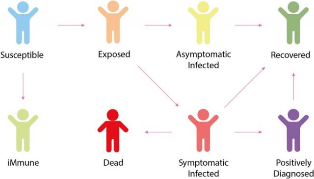 Grafika przedstawiająca stany infekcji